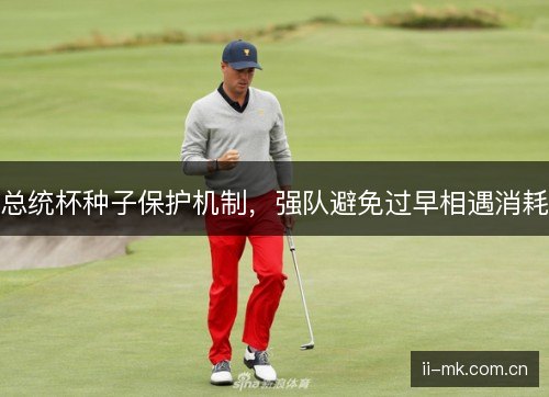 总统杯种子保护机制，强队避免过早相遇消耗